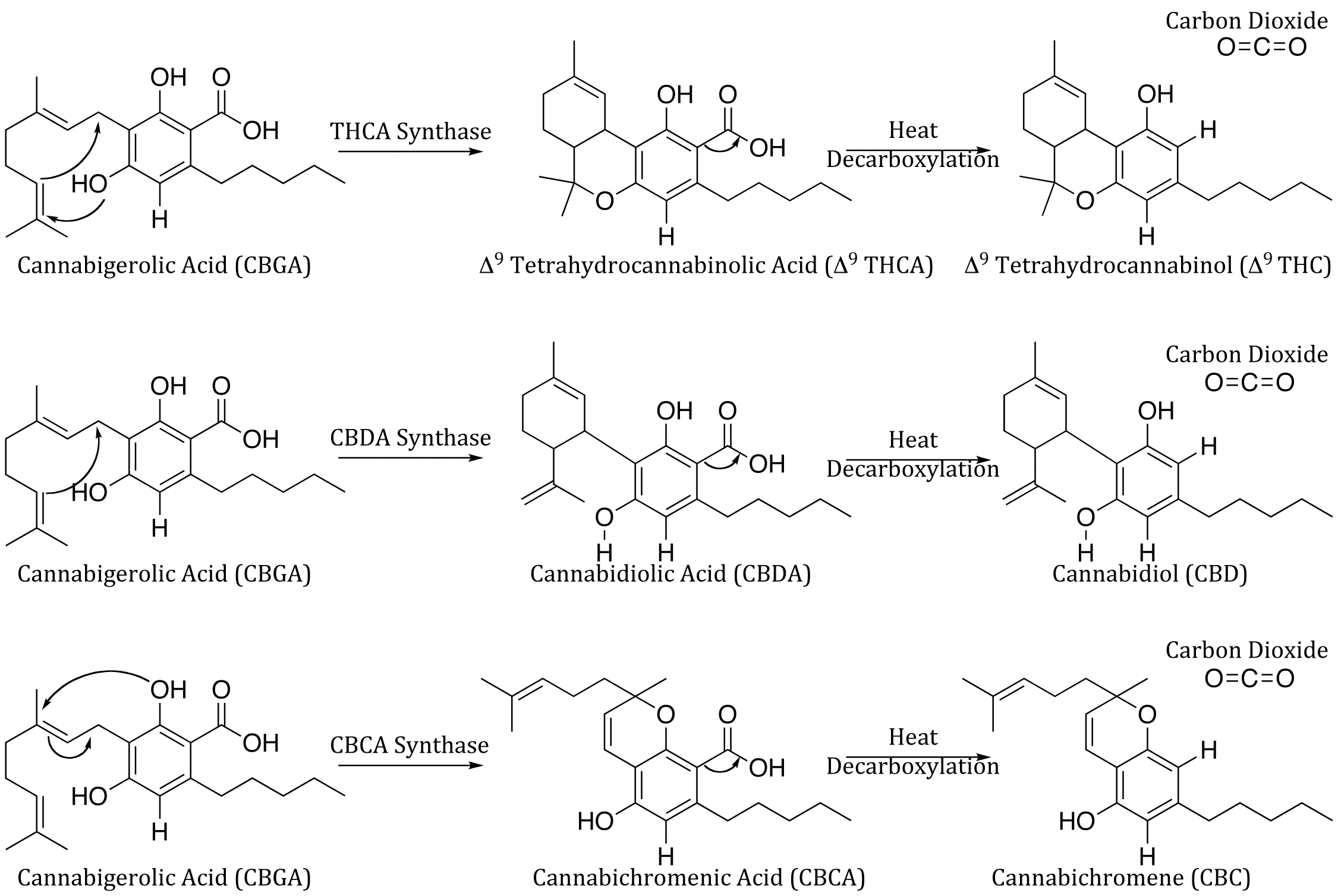 cannabinoids stereochemistry