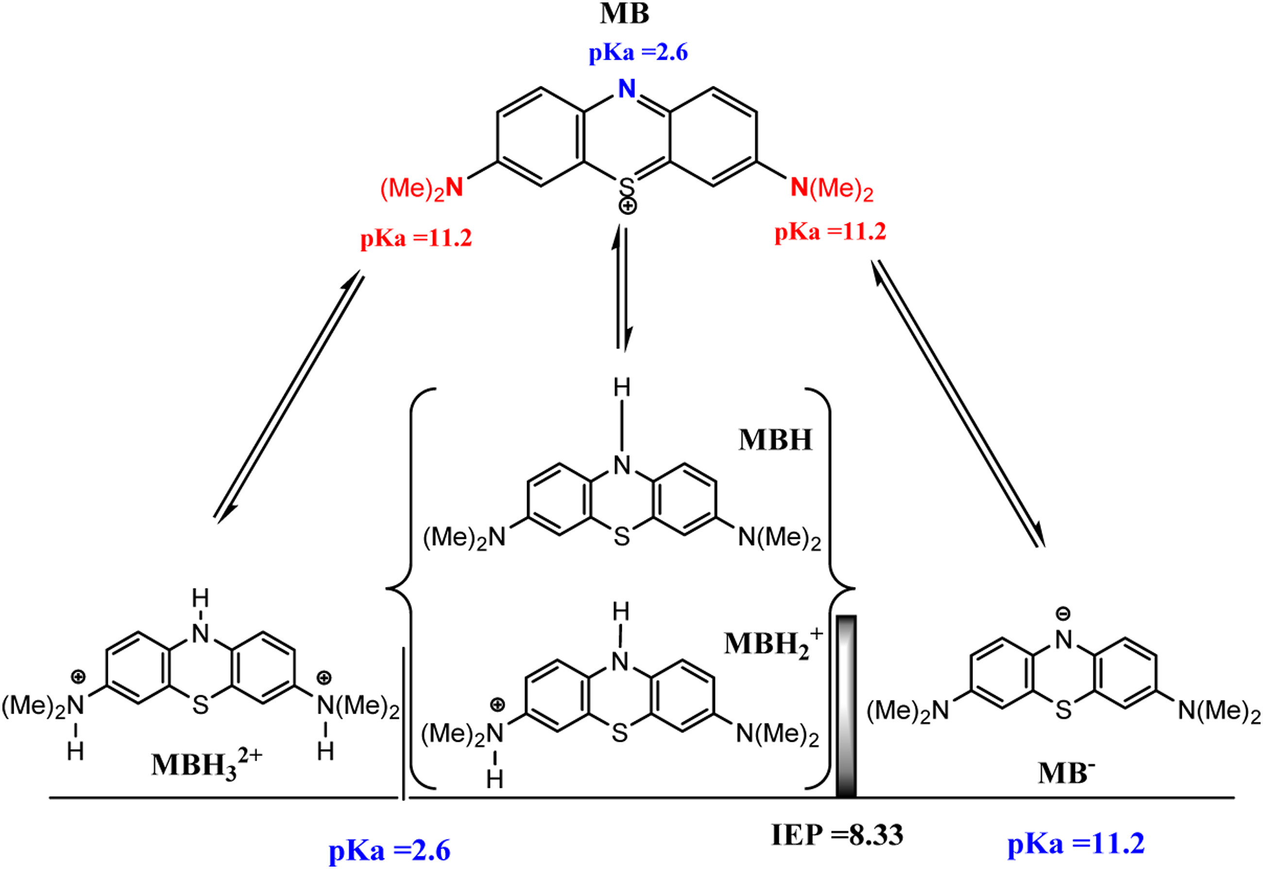 Chemical diagram of methylene blue showing its protonation states, pKa values, and isoelectric point.