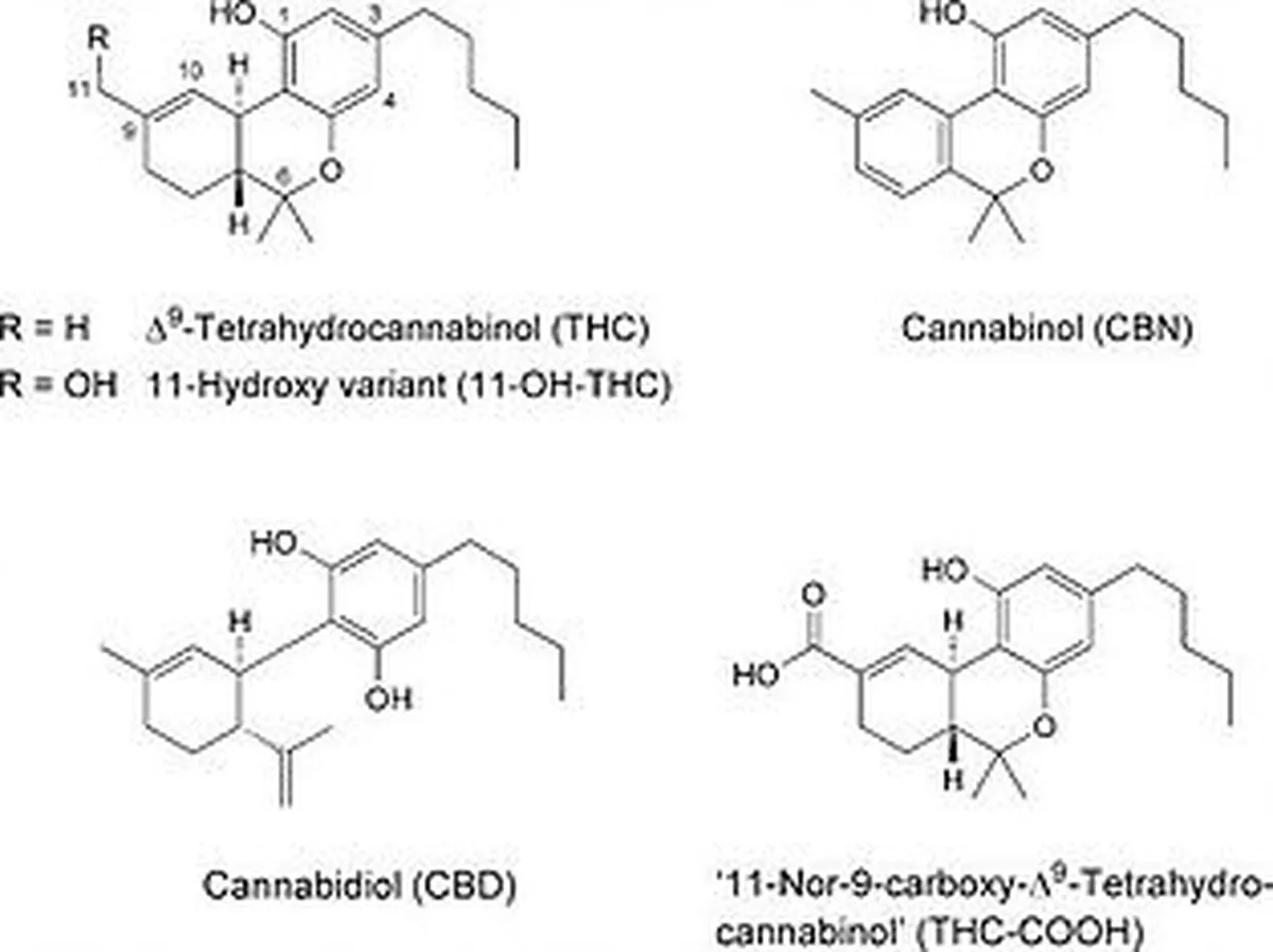 Diagram of cannabinoids-molecular-structures from CBGA to THC, CBD, and CBC with carbon dioxide release.