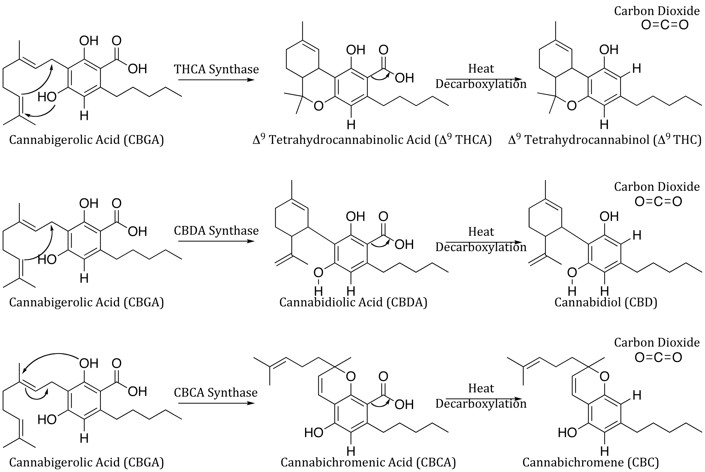 Cannabinoid Synthesis and Decarboxylation Process