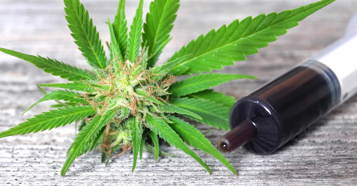 Rick Simpson Oil (RSO) with Cannabis Bud