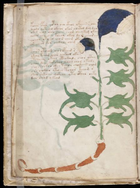 the-voynic-manuscript_0007