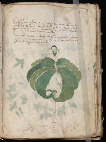 the-voynic-manuscript_0010