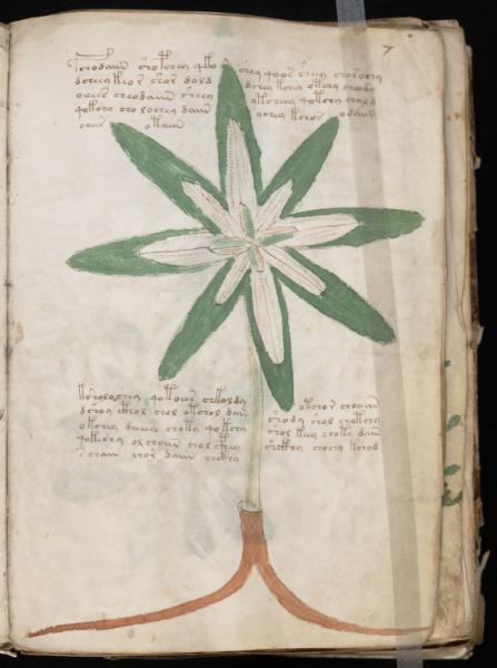 the-voynic-manuscript_0014