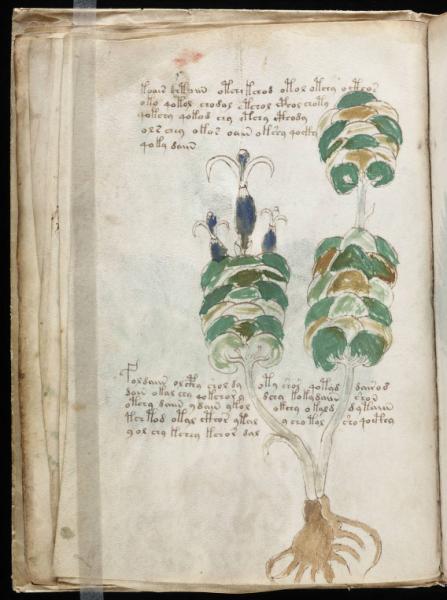 the-voynic-manuscript_0025