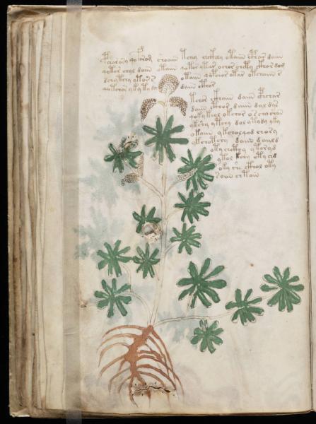 the-voynic-manuscript_0071