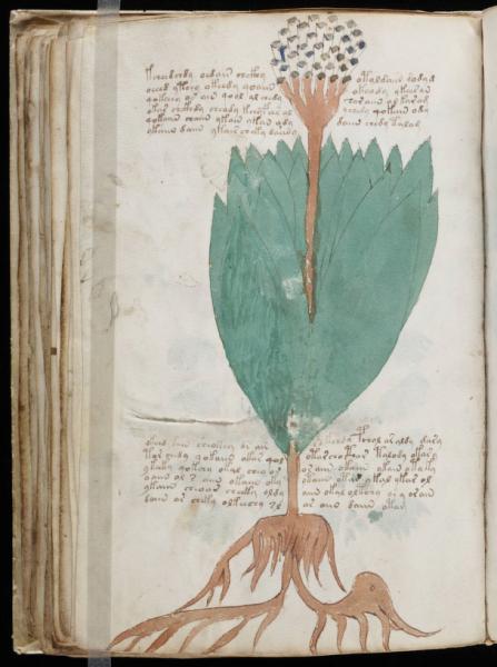 the-voynic-manuscript_0109