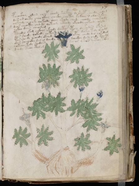 the-voynic-manuscript_0112