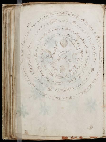 The Voynic Manuscript 0113