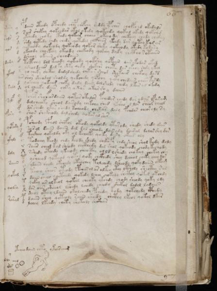 the-voynic-manuscript_0118