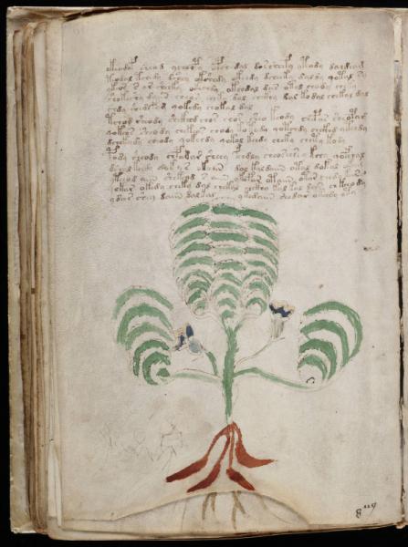 the-voynic-manuscript_0119