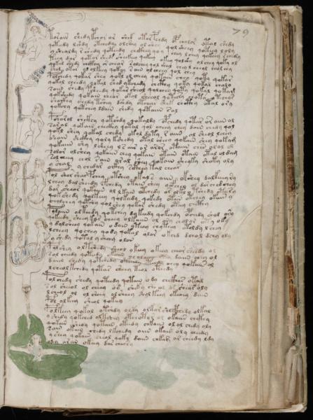 The Voynic Manuscript 0142