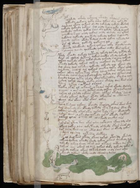 the-voynic-manuscript_0143