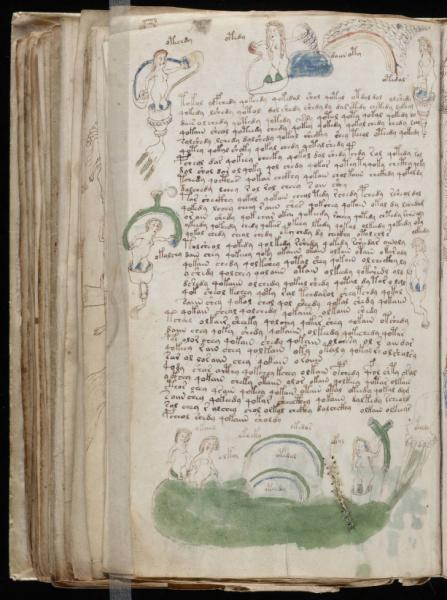 the-voynic-manuscript_0149
