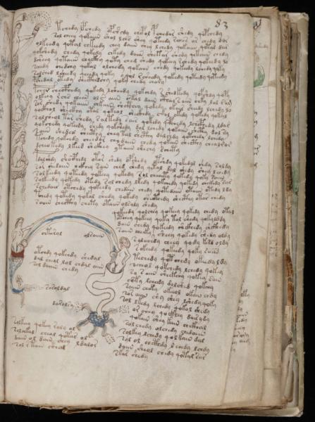 the-voynic-manuscript_0150