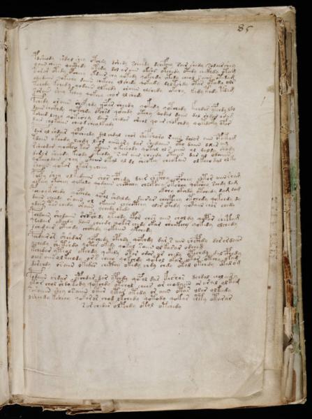 the-voynic-manuscript_0154