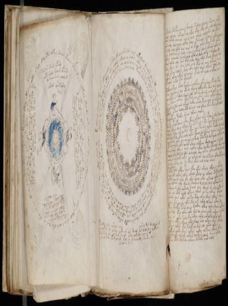 The Voynic Manuscript 0155