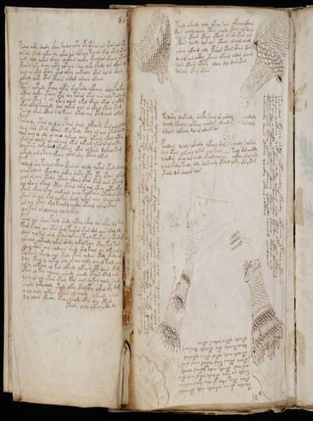 the-voynic-manuscript_0156