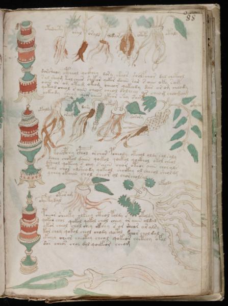 the-voynic-manuscript_0160