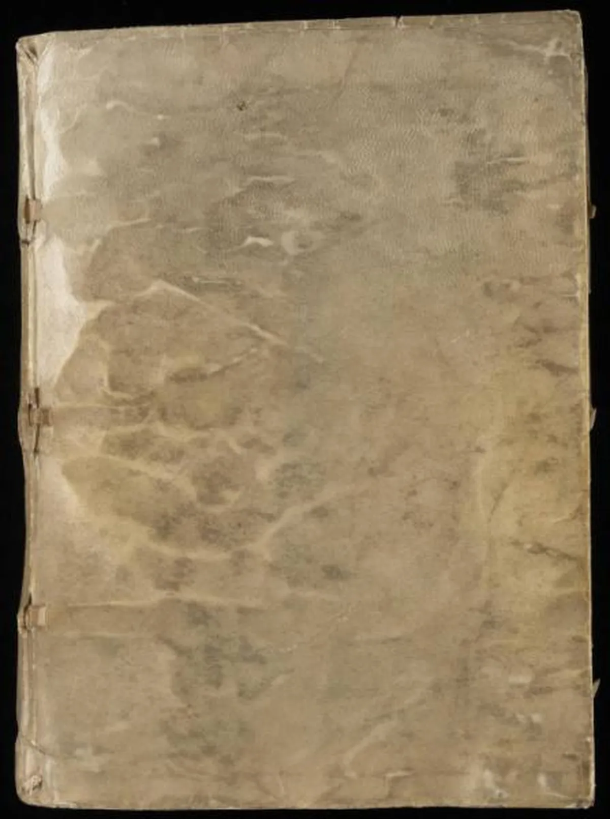 The Voynic Manuscript