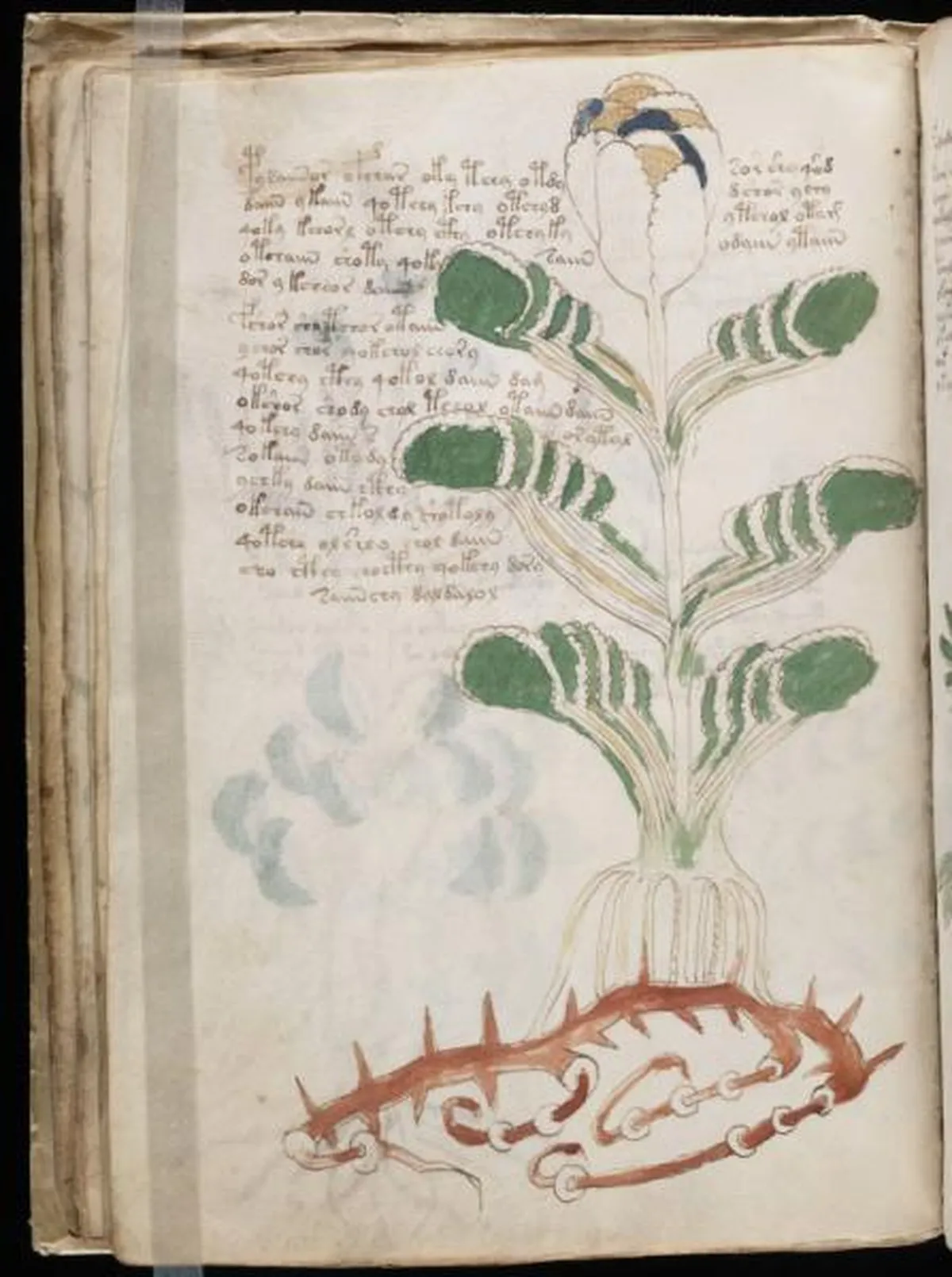 the-voynic-manuscript_0043