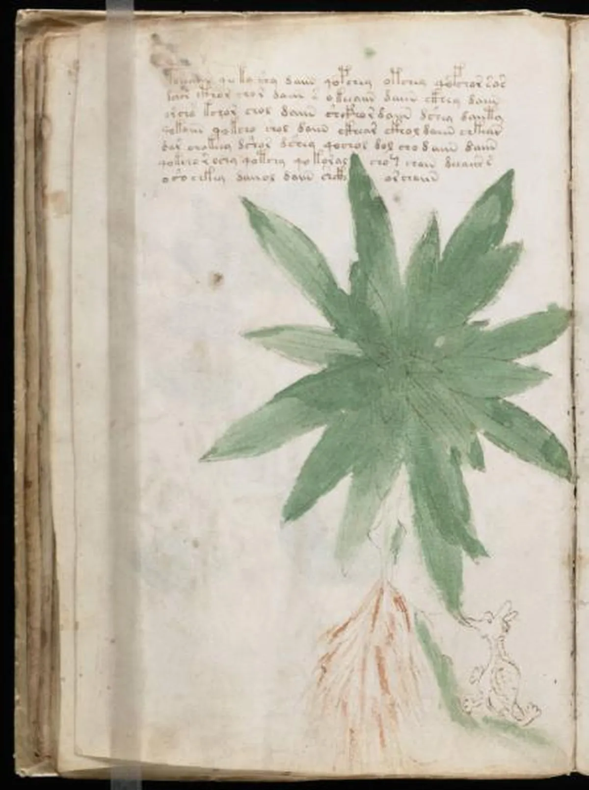 the-voynic-manuscript_0049