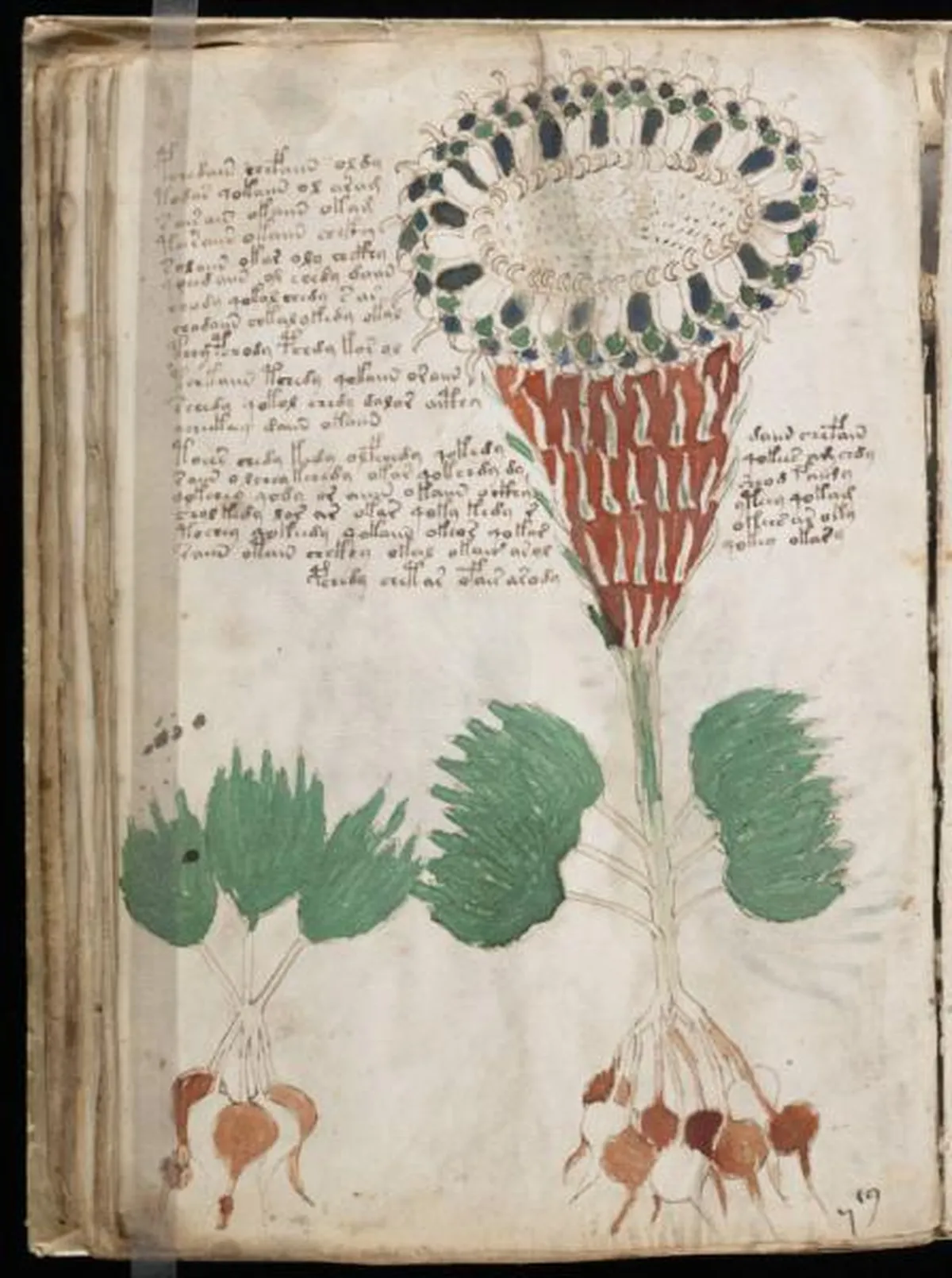 the-voynic-manuscript_0079