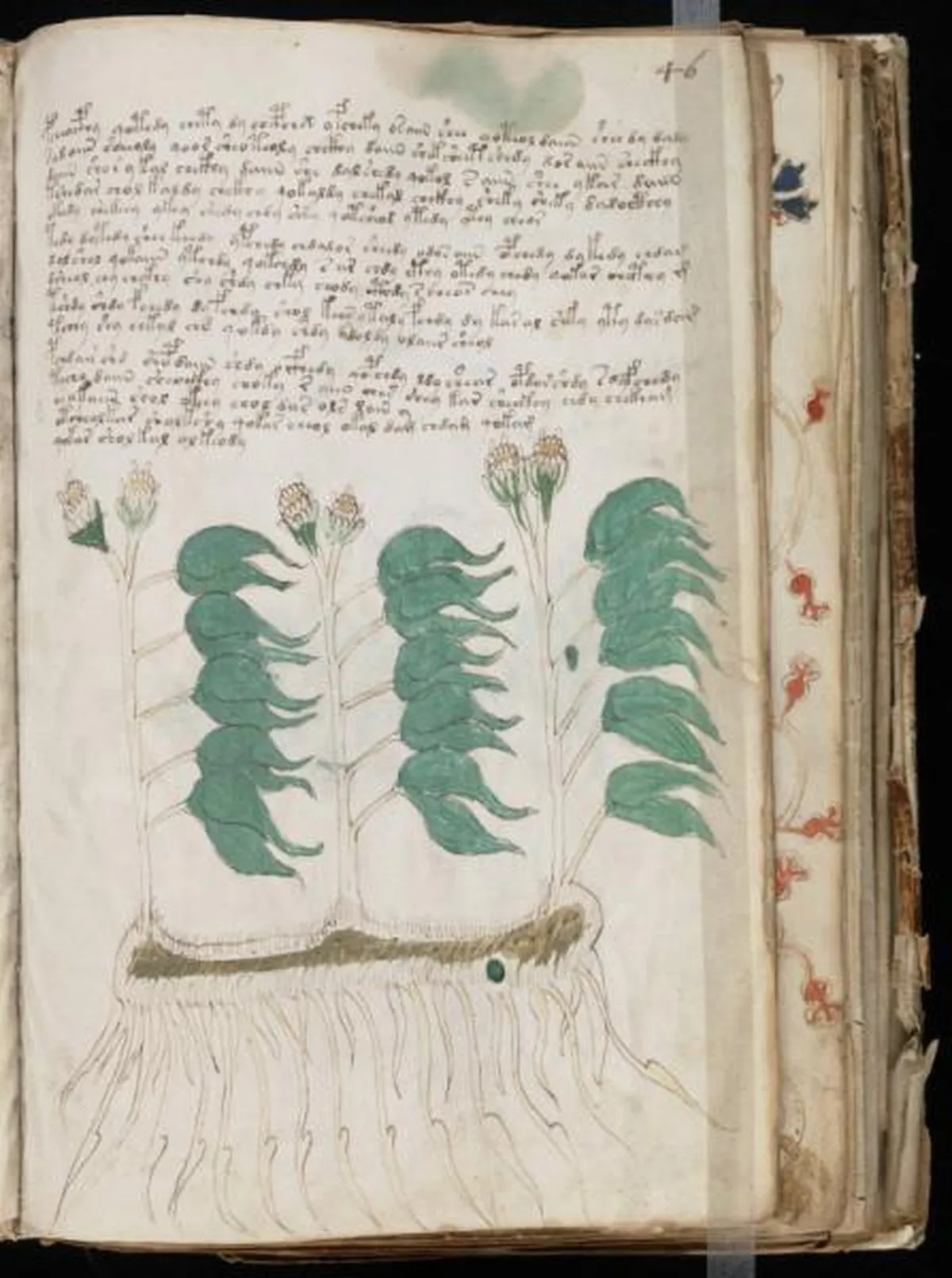 the-voynic-manuscript_0090