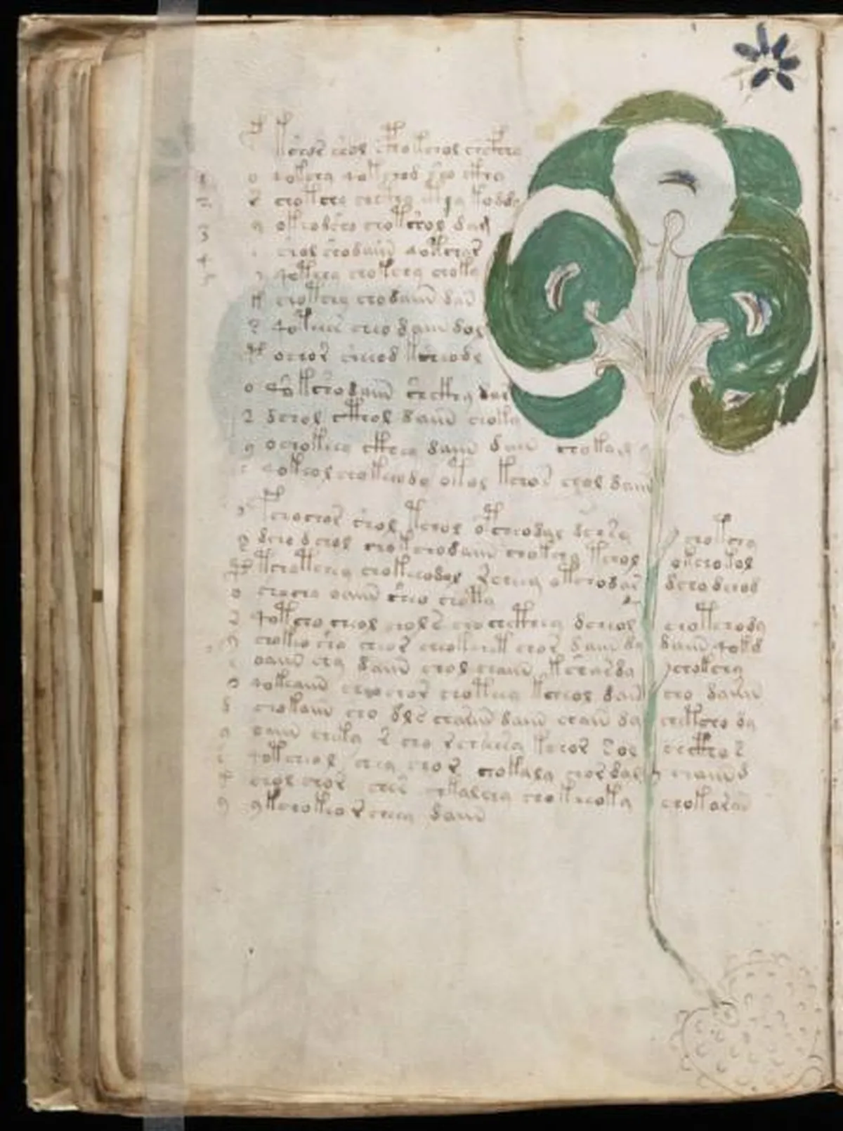 the-voynic-manuscript_0097