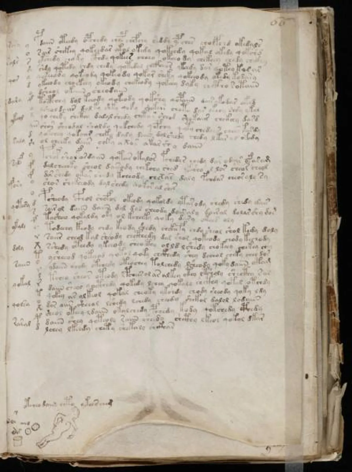 the-voynic-manuscript_0118