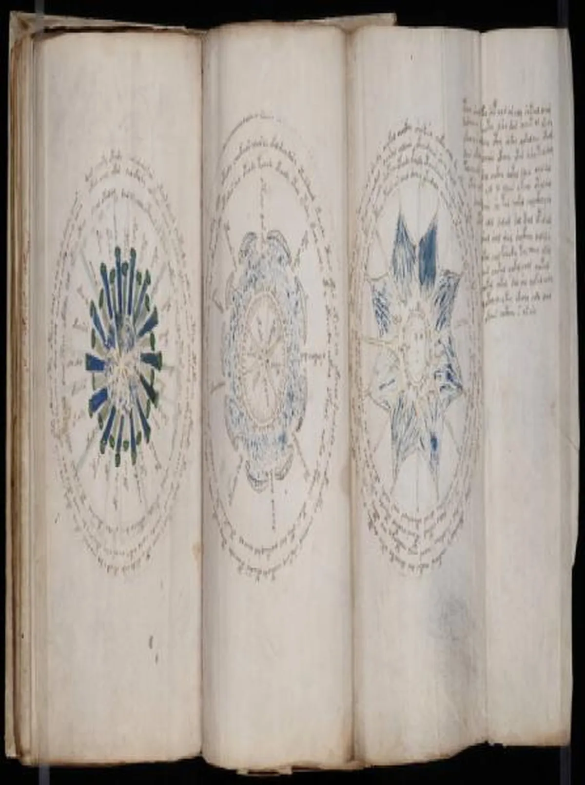 the-voynic-manuscript_0125