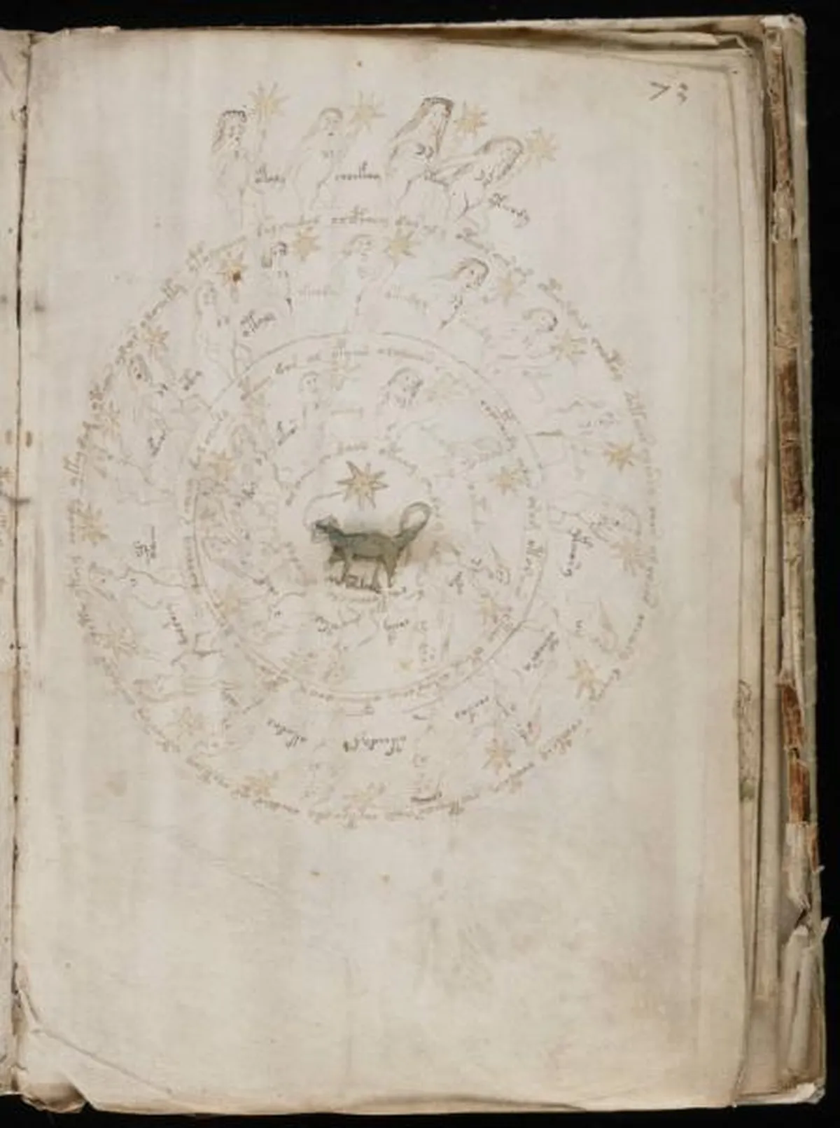 the-voynic-manuscript_0132