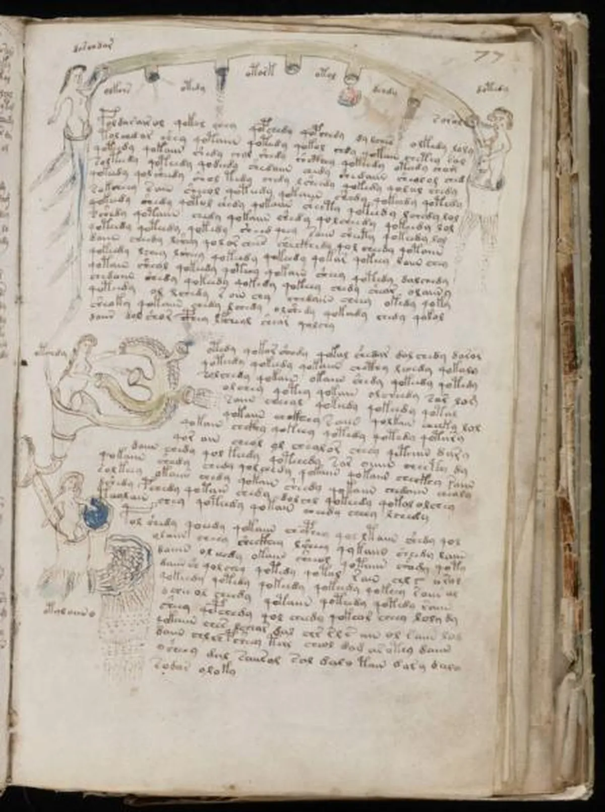 the-voynic-manuscript_0138