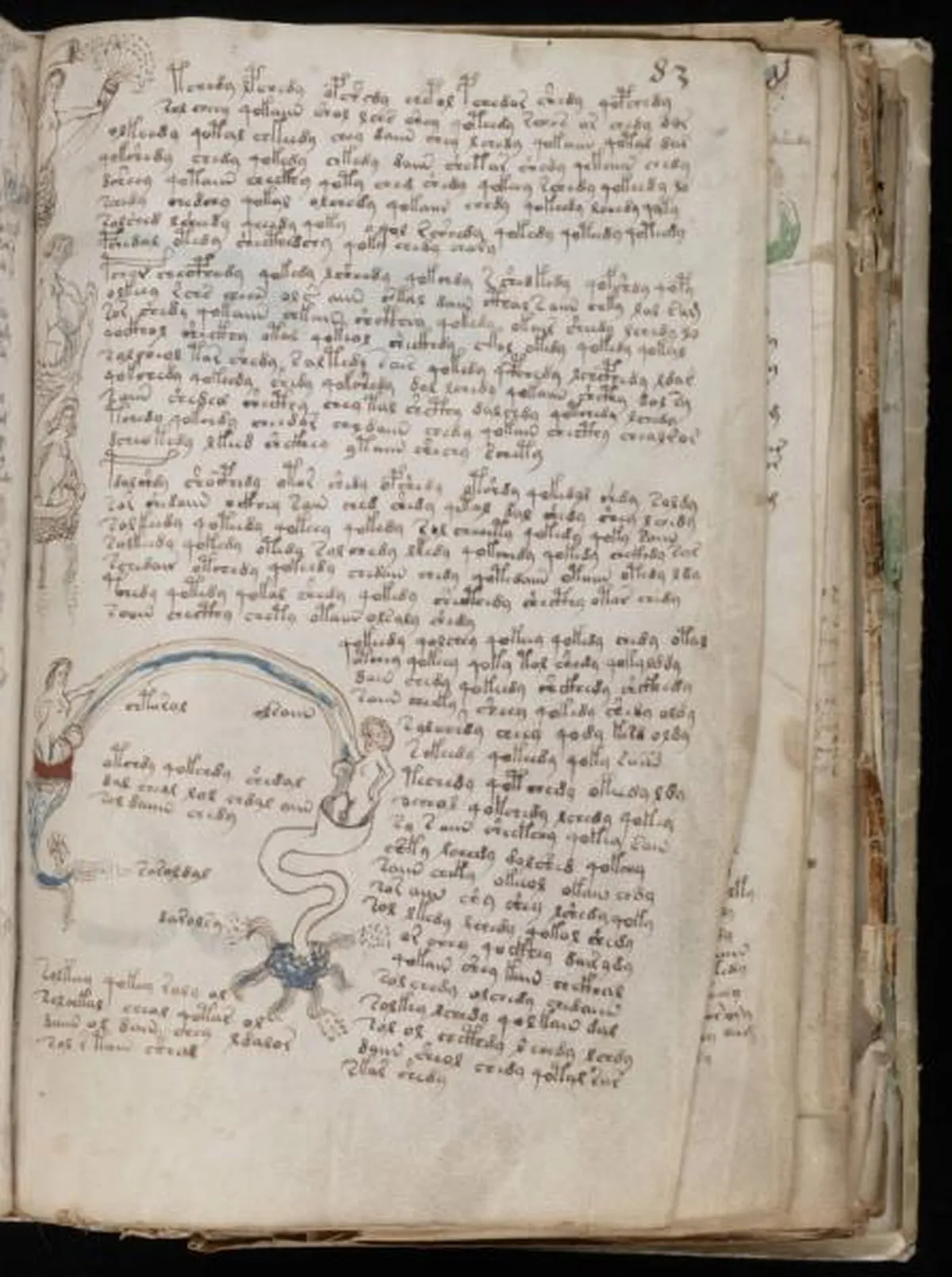 the-voynic-manuscript_0150