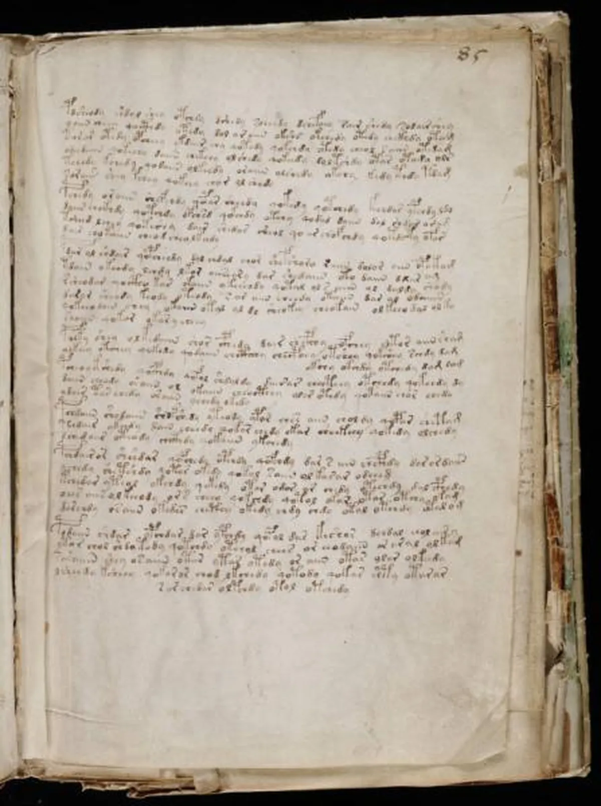 the-voynic-manuscript_0154