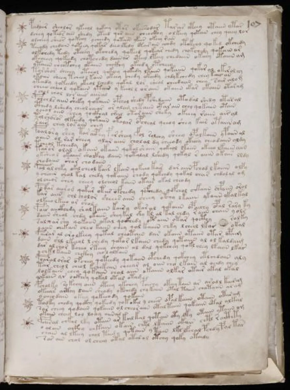 the-voynic-manuscript_0190