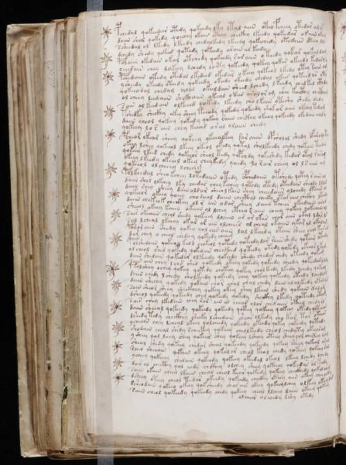 the-voynic-manuscript_0193