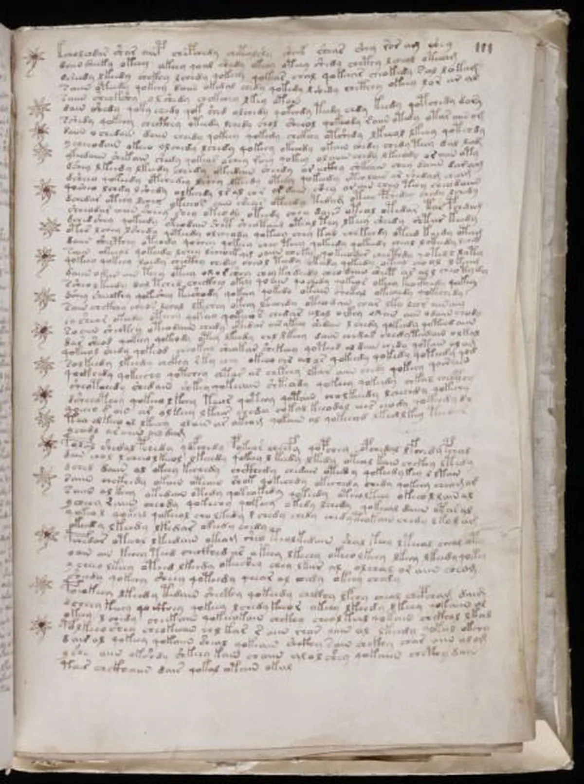 the-voynic-manuscript_0194