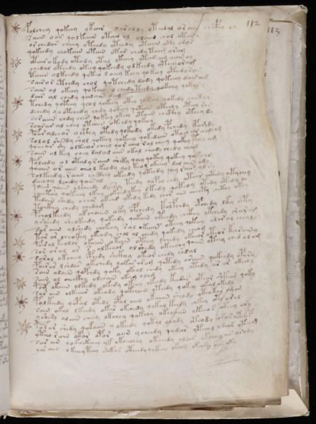 the-voynic-manuscript_0196