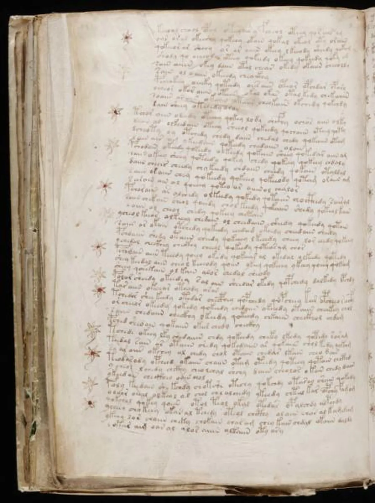 the-voynic-manuscript_0197