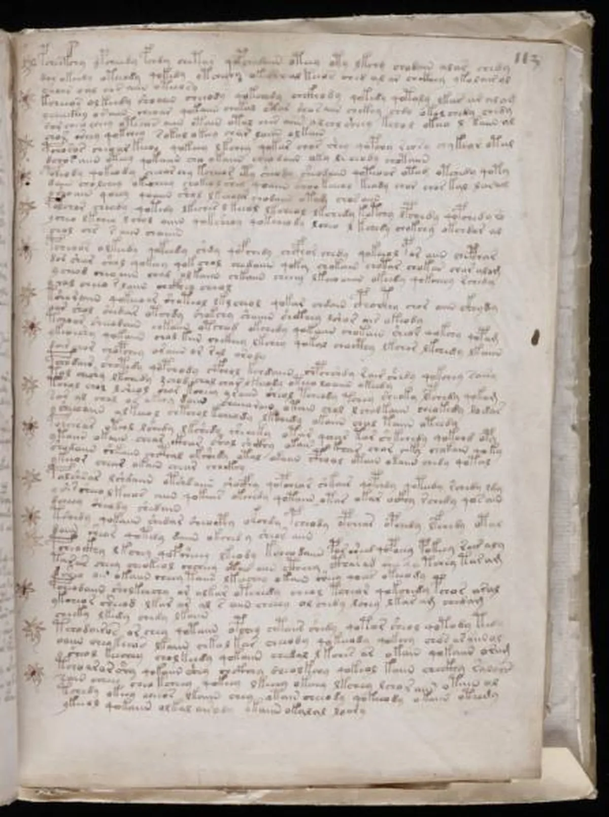 the-voynic-manuscript_0198