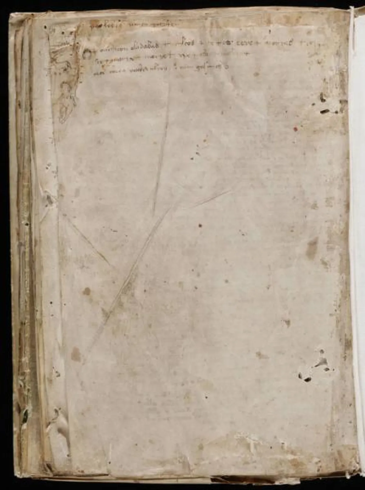 the-voynic-manuscript_0205