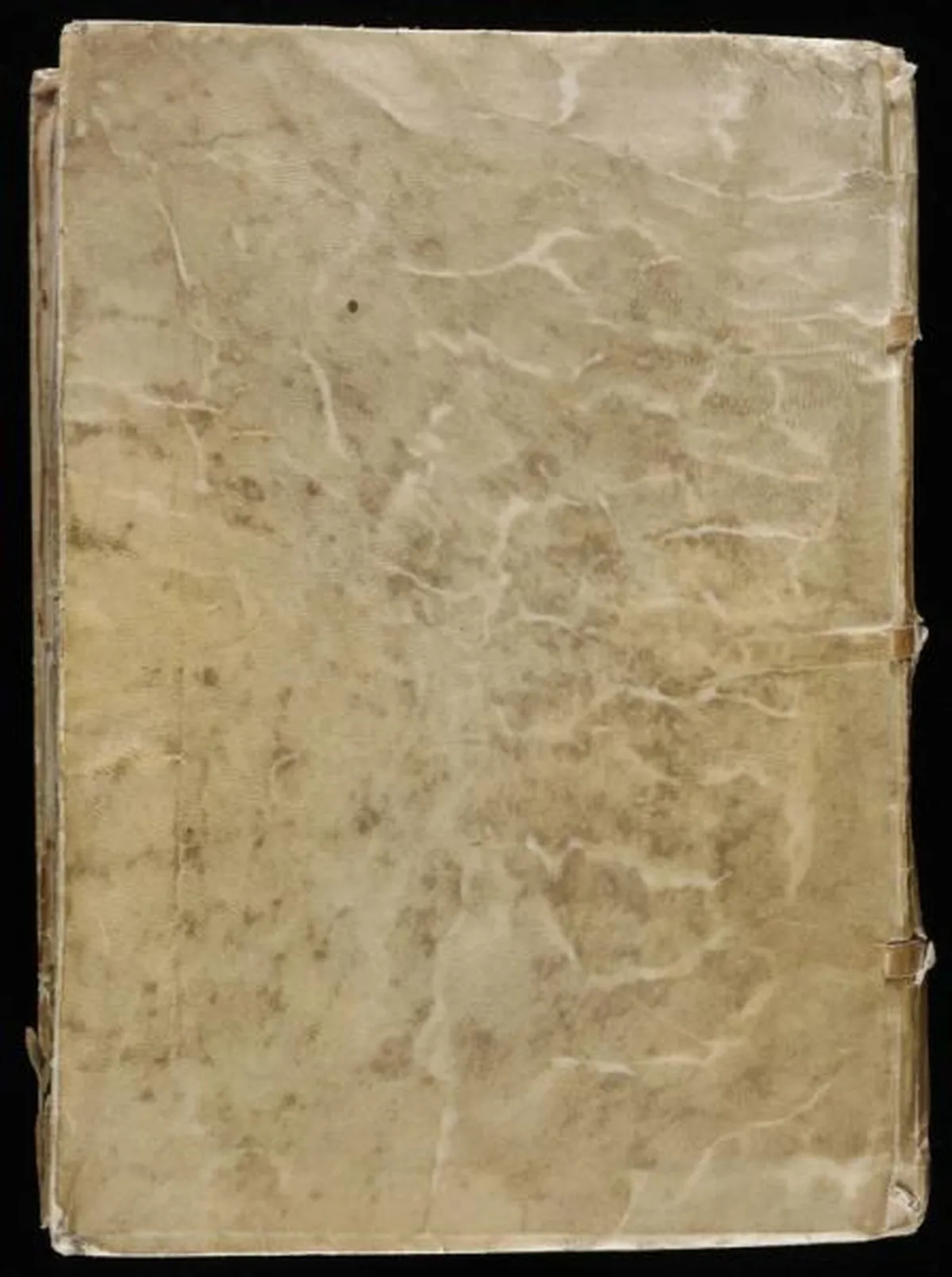 the-voynic-manuscript_0208