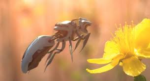 Walmart's Robotic Pollinator Patents