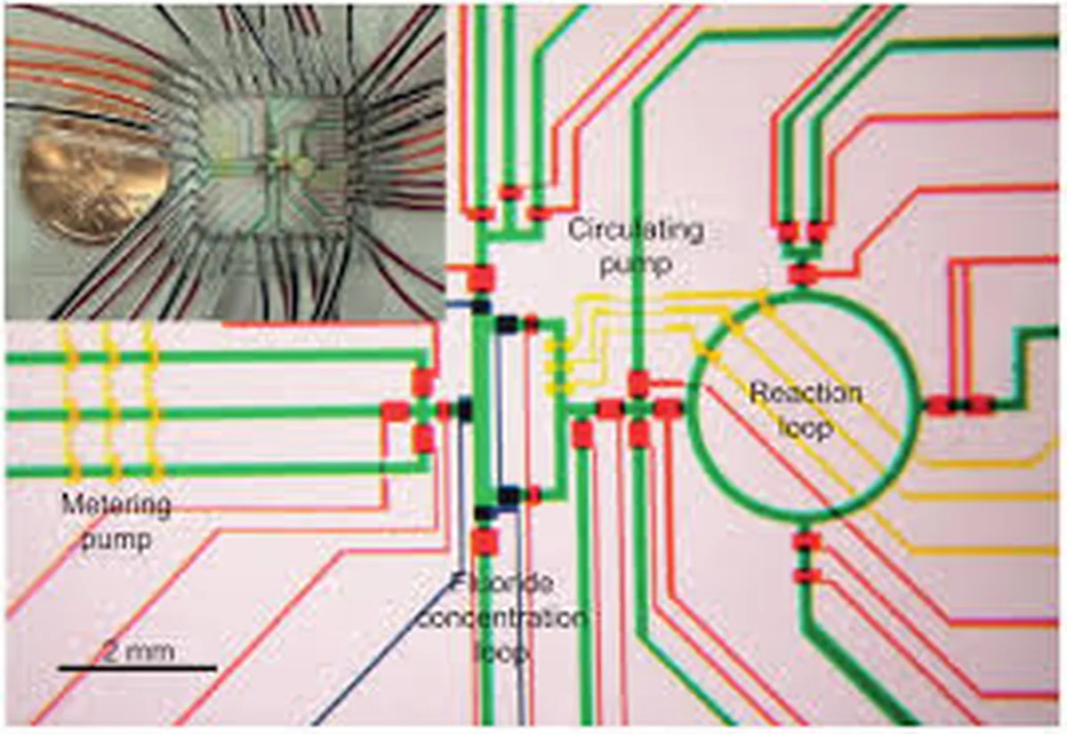 Microfluidics schematic showing fluid flow pathways and components