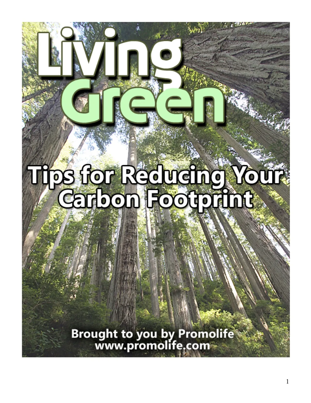 Tips for Reducing Your Carbon Footprint