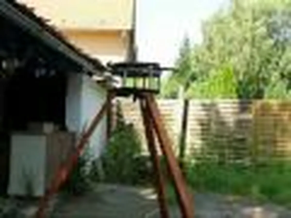 Nikola Tesla's experimental device in a garden setting