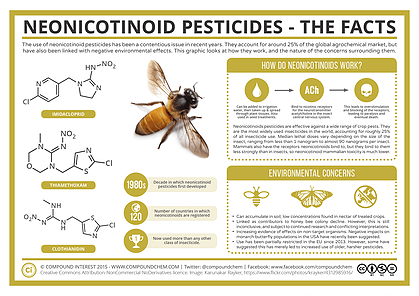 MANMADE EXTINCTION: THE HONEY BEE