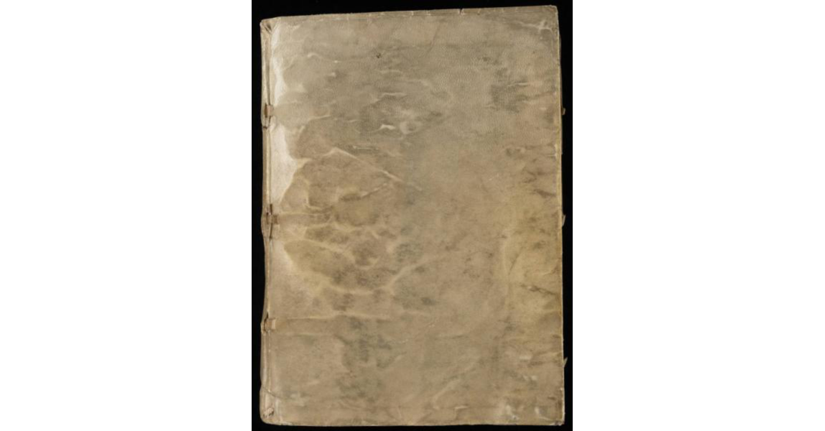 Vonyic Manuscript