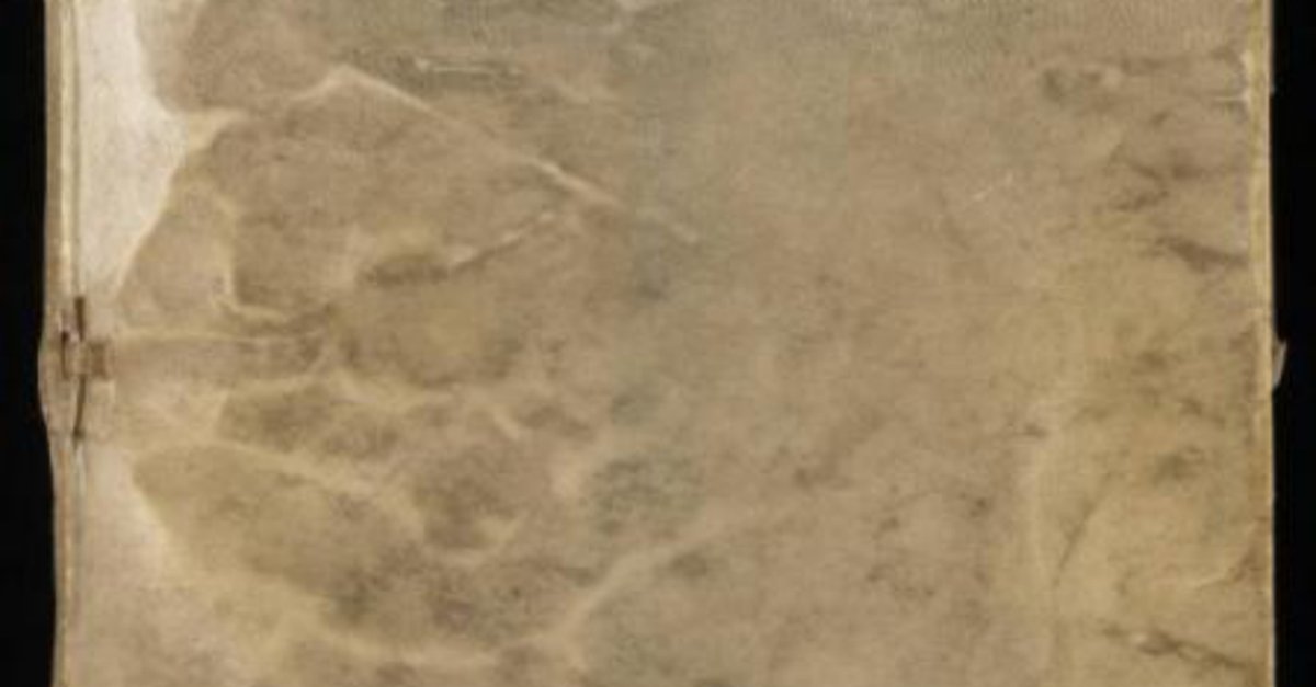 voynic manuscript